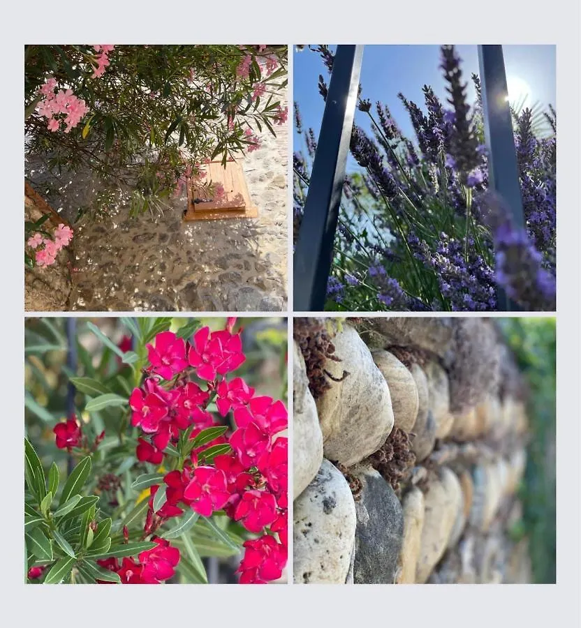 Chez Oanel Villa Andance France